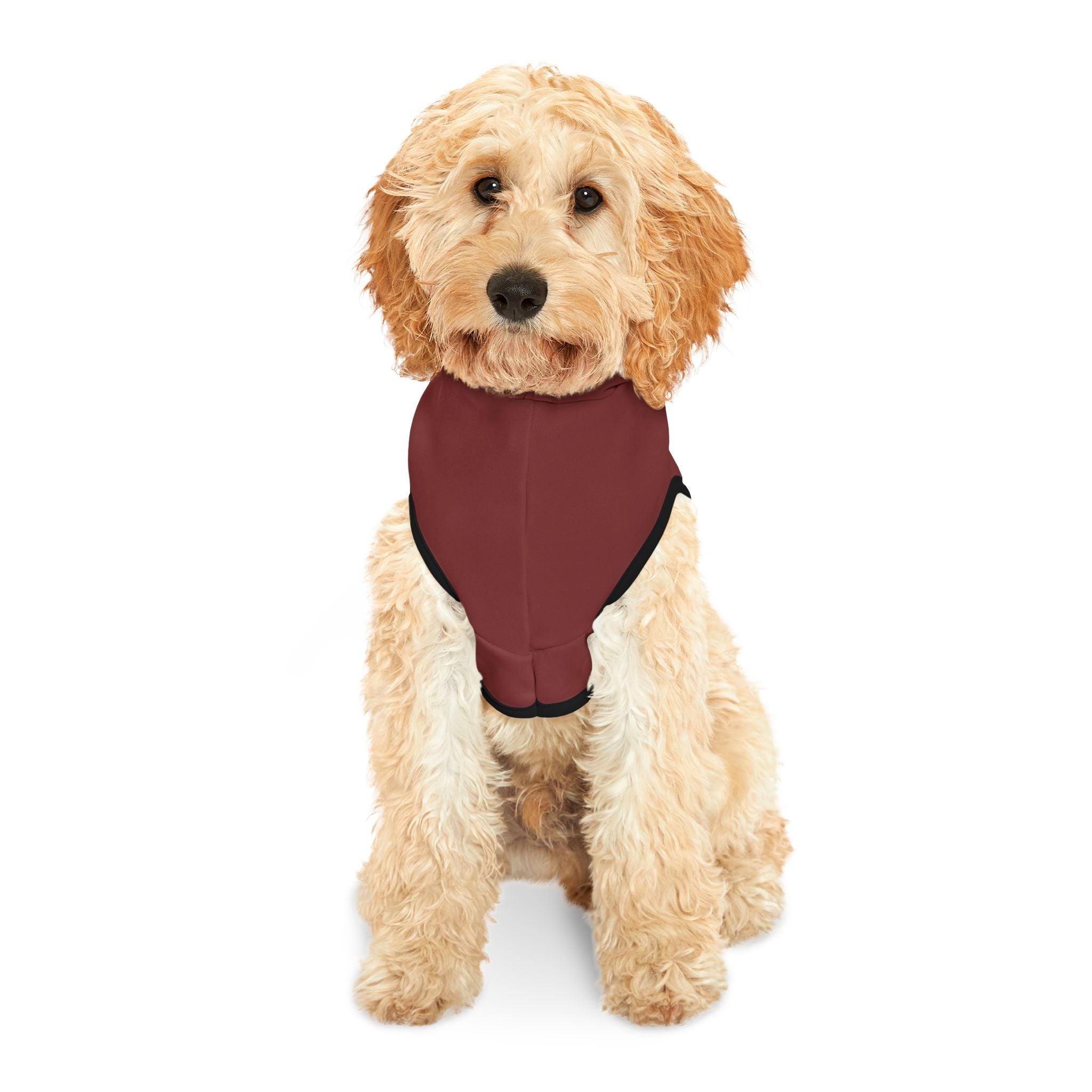 HOA President Dog Hoodie – Funny Pet Sweatshirt for Uptight Neighborhood Watch Dogs